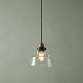 A Feiss Baskin 1 light aged brass and zinc ceiling pendant with a clear glass shade against a sage green wall.