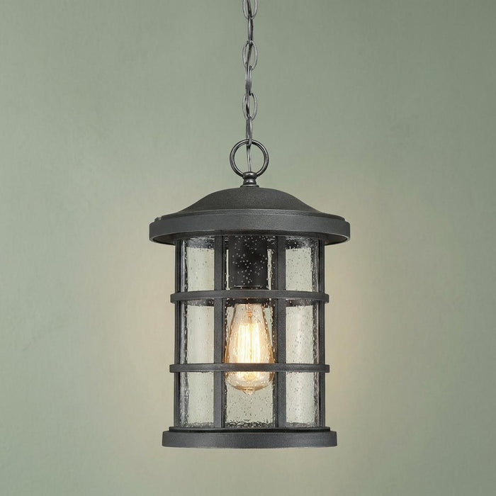Quoizel Crusade 1 Light Black Chain Lantern with seeded glass and an Edison bulb against a green wall.